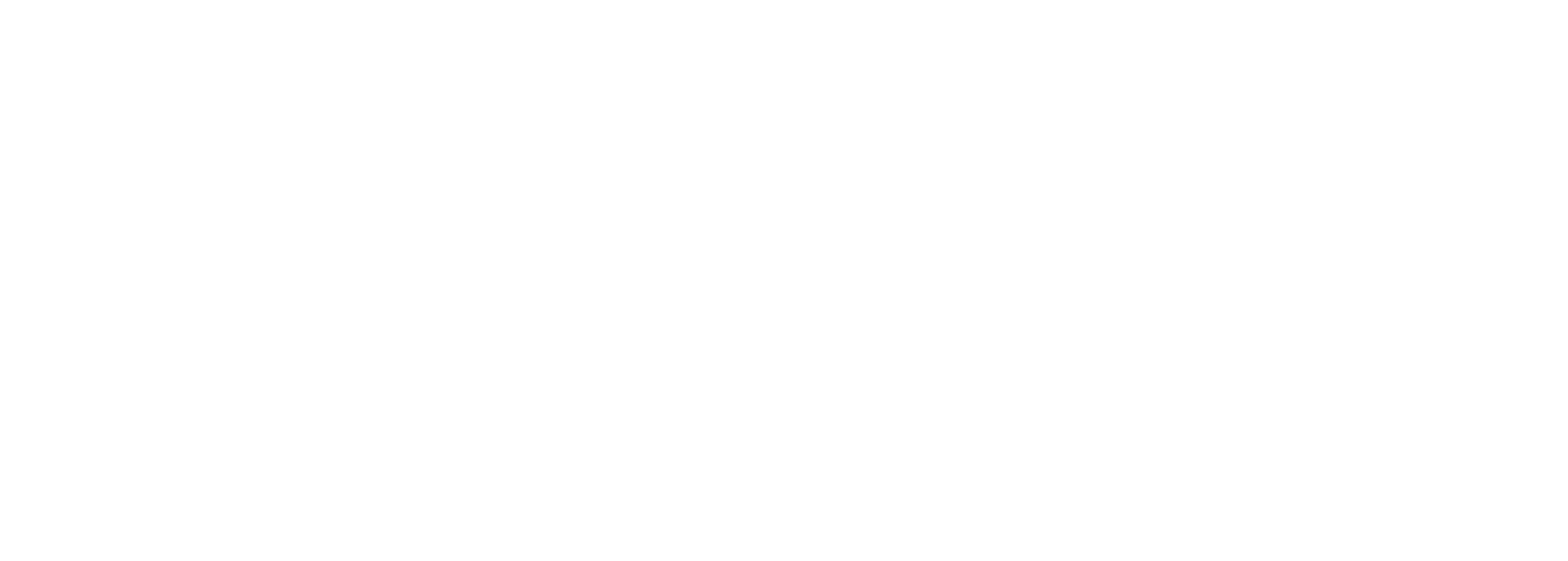 BIDS logo
